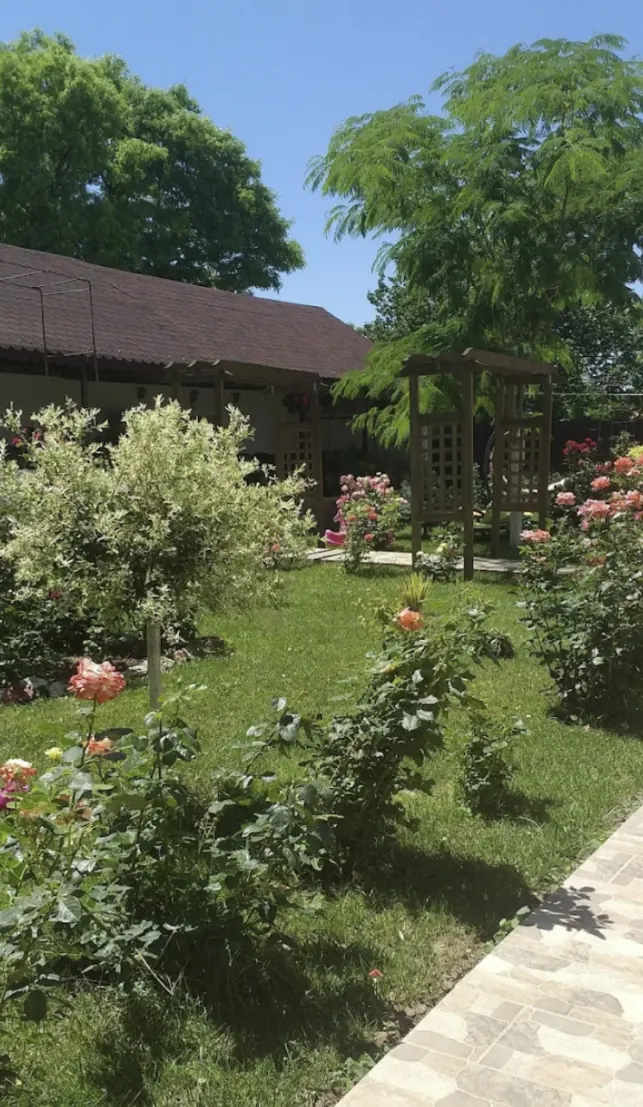Grădina cu trandafiri și pergole de lemn, vara